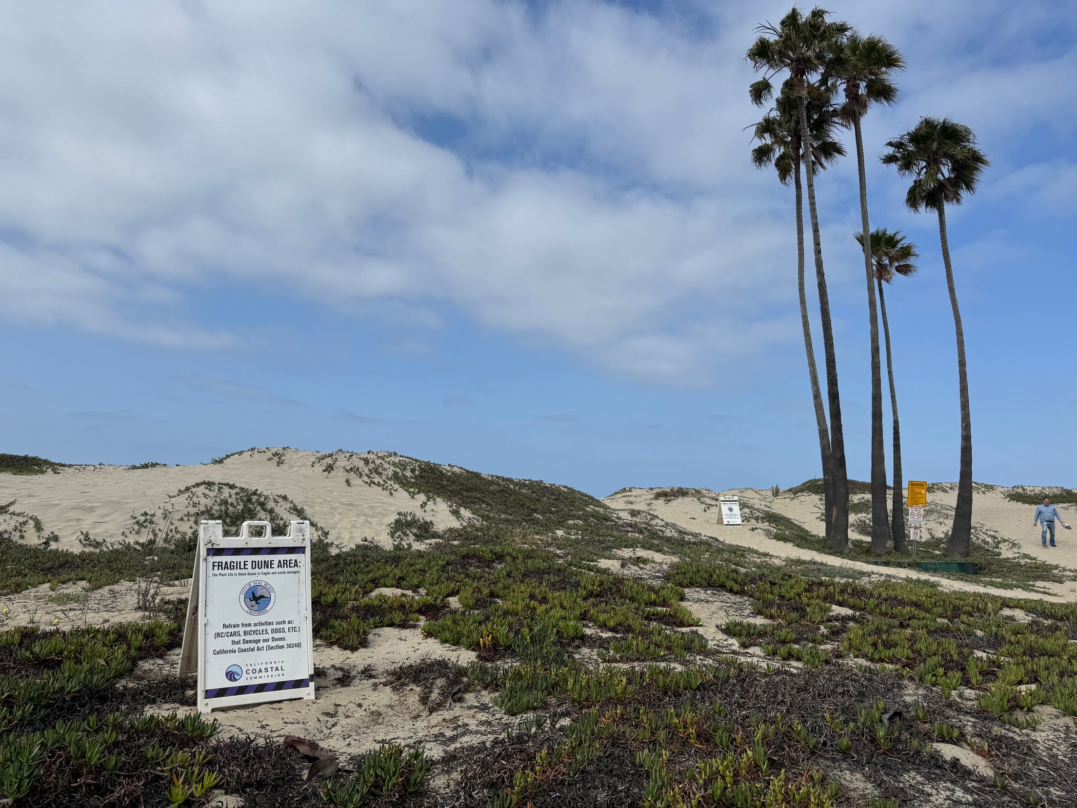 Seal Beach Coastal Dune