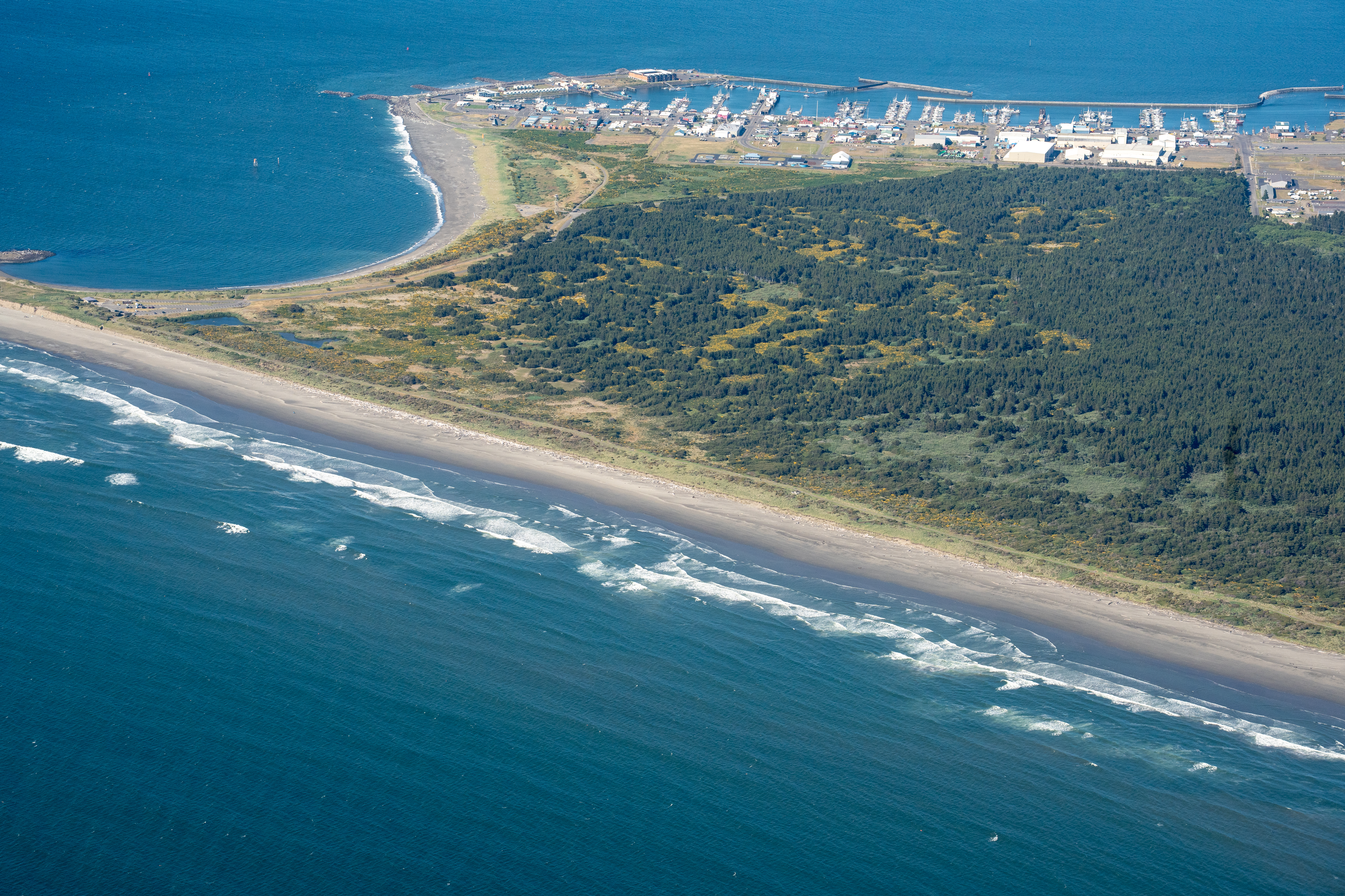 Public Beaches Not Private Greens 